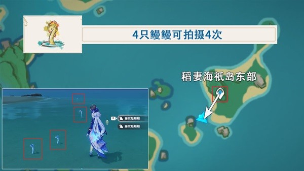 原神海祇岛解密大全图片