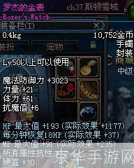 dnf罗杰的金表:DNF罗杰的金表:揭秘隐藏在游戏中的时间之谜