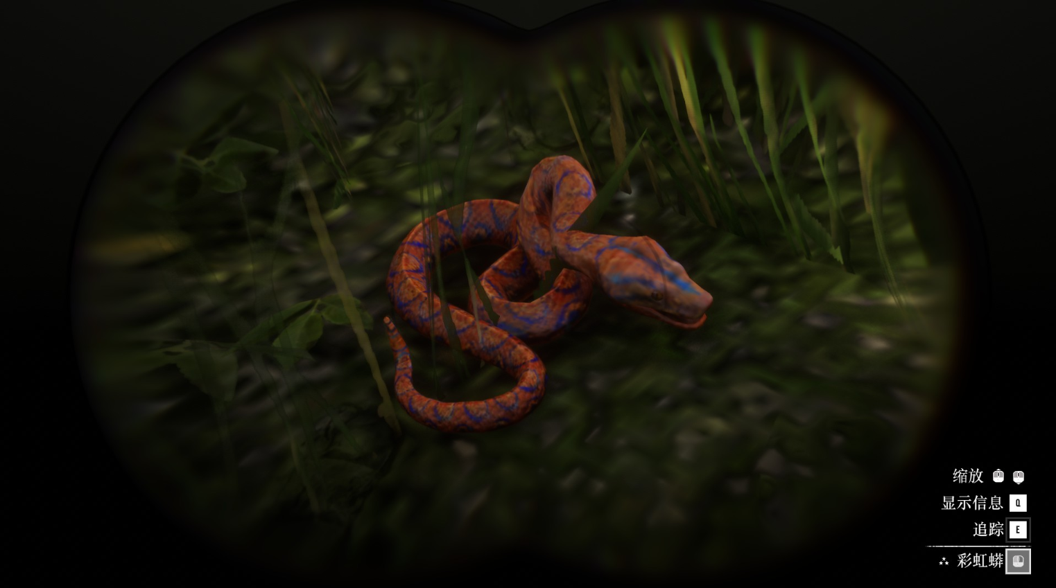 《荒野大镖客2》动物彩虹蟒蛇在哪里找