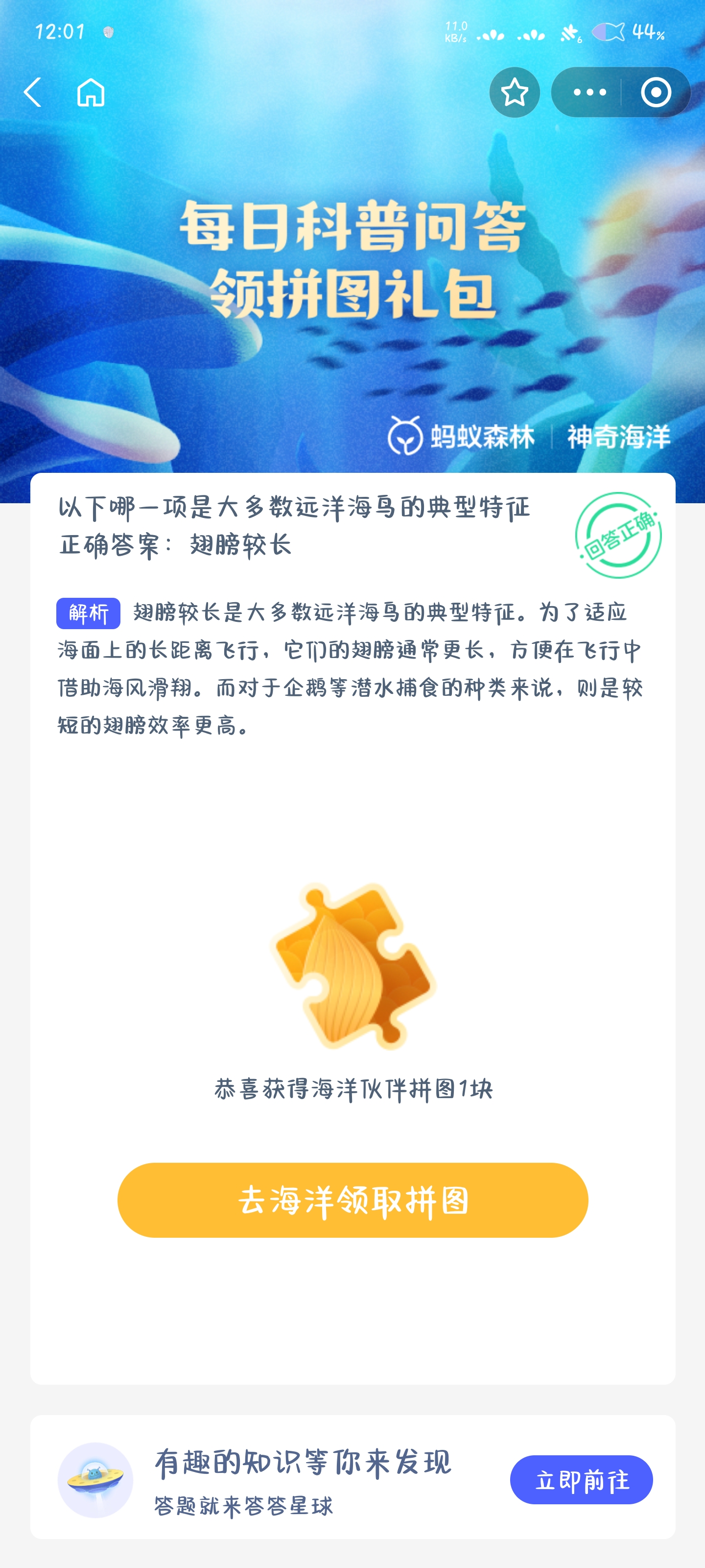 海鸟图片